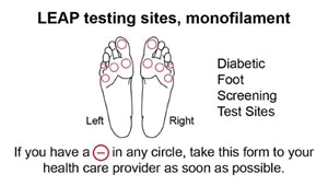 Baseline Disposable Monofilaments - ADA and LEAP Programs