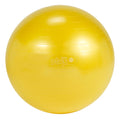 Gymnic® Plus Exercise Balls